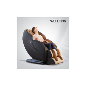 에비스 프리미엄 안마의자 HCW